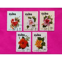Куба. Кактусы. ( 5 марок ) 1978 года. 2-19.