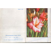 Бланк телеграммы 1967г. "Гладиолус" фото П. Смоляков