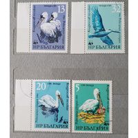 Болгария пеликаны 4шт