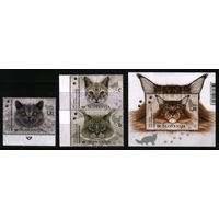 2020 Словения фауна животные млекопитающие породы кошек Блок+3х-марки**