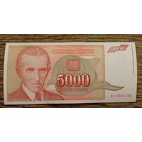 Werty71 Югославия 5000 динаров 1993 банкнота