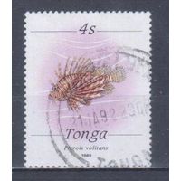 [2130] Тонга 1989. Фауна.Рыбы.Крылатка-зебра. Гашеная марка.
