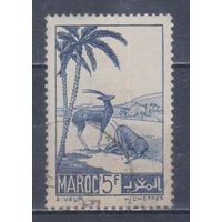 [1607] Французские колонии. Марокко 1939. Фауна.Антилопы.5 фр. Гашеная марка.