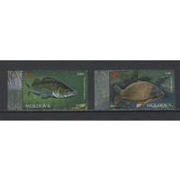 Фауна Рыбы Молдова 2014**