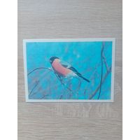 Календарик 1990