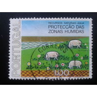 Португалия, 1976. Выпас овец