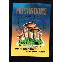 Грибы Корея 1987 год 1 блок
