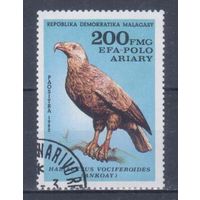 [1971] Мадагаскар 1982. Фауна.Хищные птицы.Орел. Концовка серии.Гашеная марка.