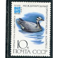 СССР 1982. Фауна. Птицы. Горный гусь