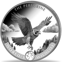 Конго 20 франков 2024 Сокол-Сапсан Дикая природа Серебро 9999