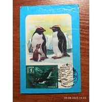 Календарик 1986 Пингвин