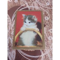 Календарик,котик,1996