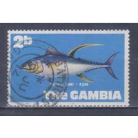 [206] Гамбия 1971. Фауна.Рыбы.Тунец. Гашеная марка.
