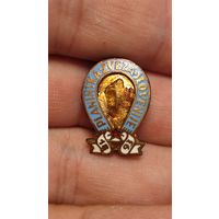 Значек знак Альпинистская ассоциация Федерация Словения тяжелый