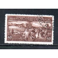 План развития животноводства СССР 1949 год 1 марка