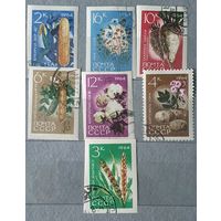 СССР овощи 7шт