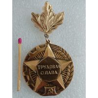 Знак. Трудовая слава. Минская область. СССР