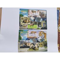 Беларусь  2013  2 почтовые карточки  со СГ-  Гродно   ЗОО