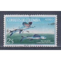 [206] Колумбия 1966. Фауна.Рыбы. Гашеная марка.