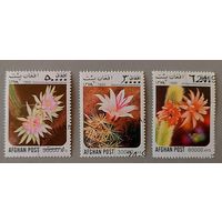 Кактусы. Афганистан,1999