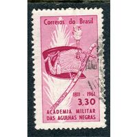 Бразилия. 150 лет военной академии