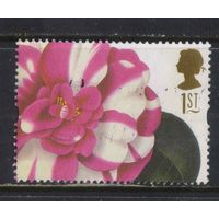 Великобритания 1997 Цветы Китайская роза #1669