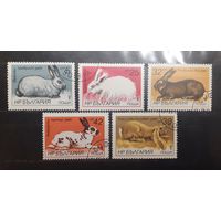 Болгария. 1986 год. Фауна. Кролики (550)