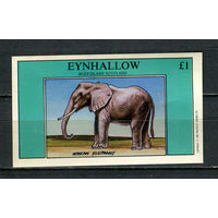 Остров Эйнхаллоу (Шотландия) - 1982 - Слон - 1 блок. MNH.  (Лот 49JQ)-T3P34
