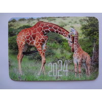 Календарик 2024 г. Жирафы.