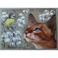 Кот. Ирина Гармашова. Авторская открытка, глянец