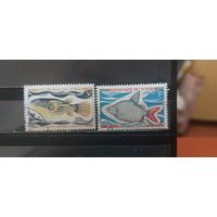 РАСПРОДАЖА ЧАД 1965г. Гаш.