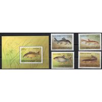 Киргизия 1994. Фауна. Рыбы. 1 блок+4 марки (27)