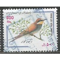Иран. Птицы. Золотистая щурка. 2000г. Mi#2841.