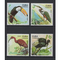 Фауна Птицы Куба 1989  Филателистическая выставка Brasiliana-89 в Рио-де-Жанейро Used