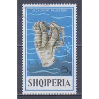 [2455] Албания 1975. Морская фауна.Кораллы и другие.5к. Гашеная марка.