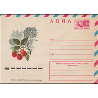 Художественный маркированный конверт СССР N 12213 (04.07.1977) АВИА  Малина