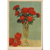 Чистая открытка 1963г. "Астры и гвоздики" фото И. Шагин