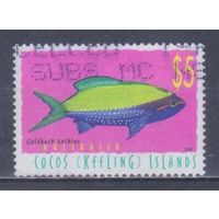[1351] Кокосовые острова 1998. Фауна.Рыбы. Высокий номинал.Концовка серии.Гашеная марка. Кат.гаш.7,5 е.