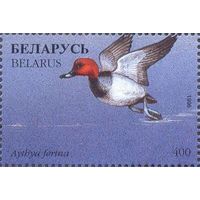 Беларусь 1996 фауна утки