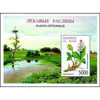 1996 БЕЛАРУСЬ  блок коллекционных марок  Бабок трехлистый  MNH