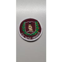 Шеврон СШ 191 Минск