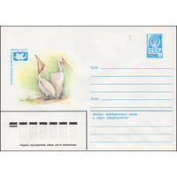 Художественный маркированный конверт СССР N 14174 (05.03.1980) Охраняемые животные фауны СССР  Розовый пеликан