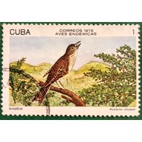Куба 1978. Фауна. Птицы
