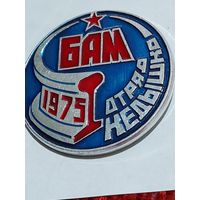 Значок " БАМ отряд Кедышко "