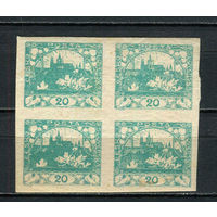 Первая Чехословацкая республика - 1918 - Пражский Град 20 H - (1 кварт) - [Mi.4] - 1 марка. MH.  (Лот 33HU)-TG3P20