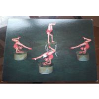 Монголия Гимнасты