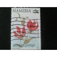 Намибия, 2000. Цветы, надпечатка