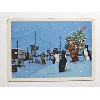 Знаменский 1961 С новым годом