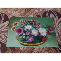 Открытка,круцко,подписана