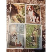 Календарики,1990,серия плакат